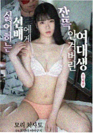 大理寺少卿 国产古装剧免费看